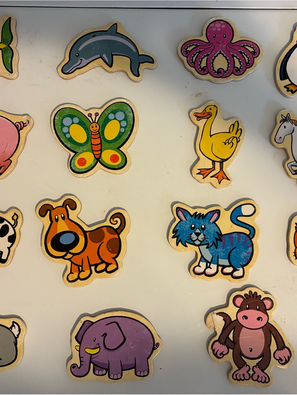 Animal Magnets